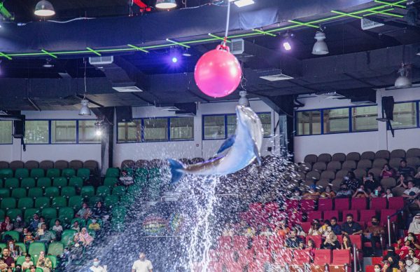 dubai dolphinarium