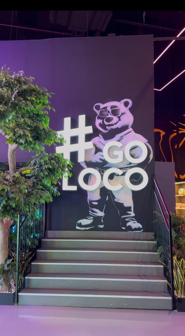 loco bear entertainment hub