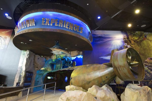 dubai aquarium and underwater zoo