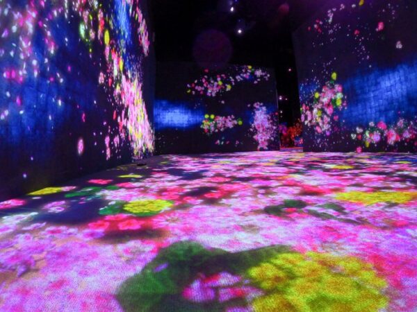teamlab phenomena
