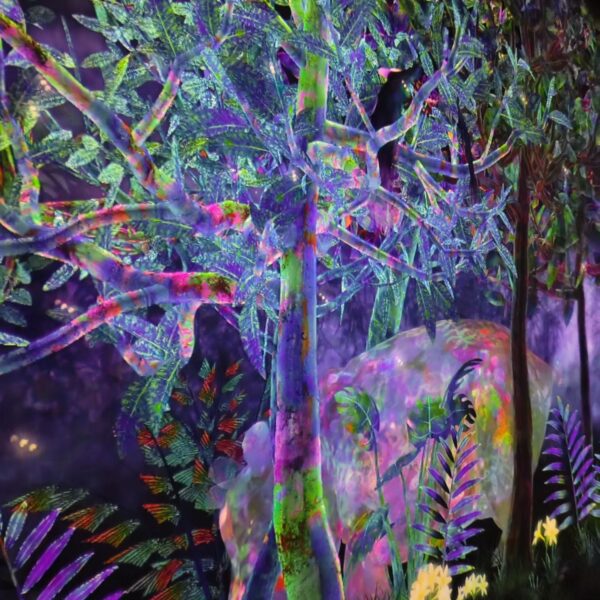 teamlab phenomena