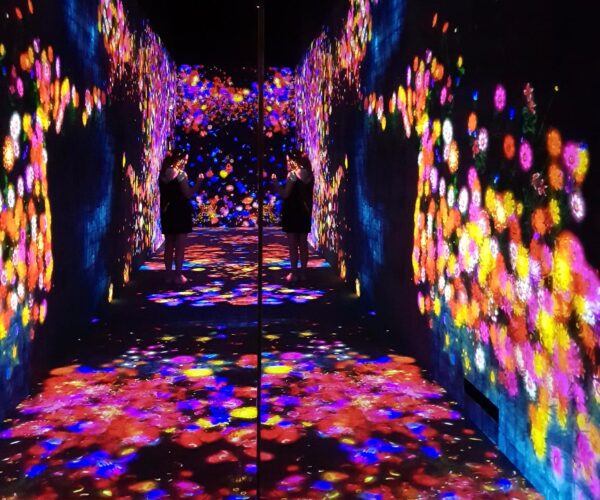 teamlab phenomena