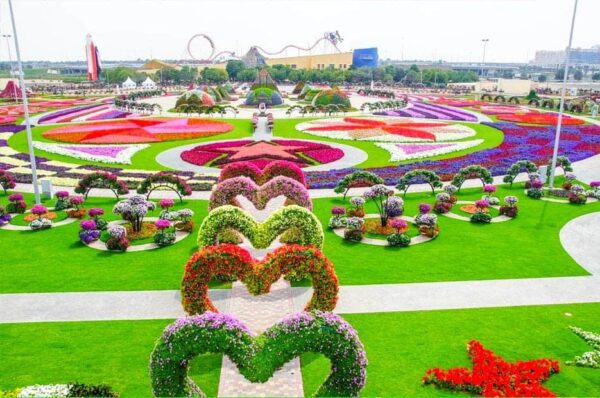 Dubai Miracle Garden - Image 9