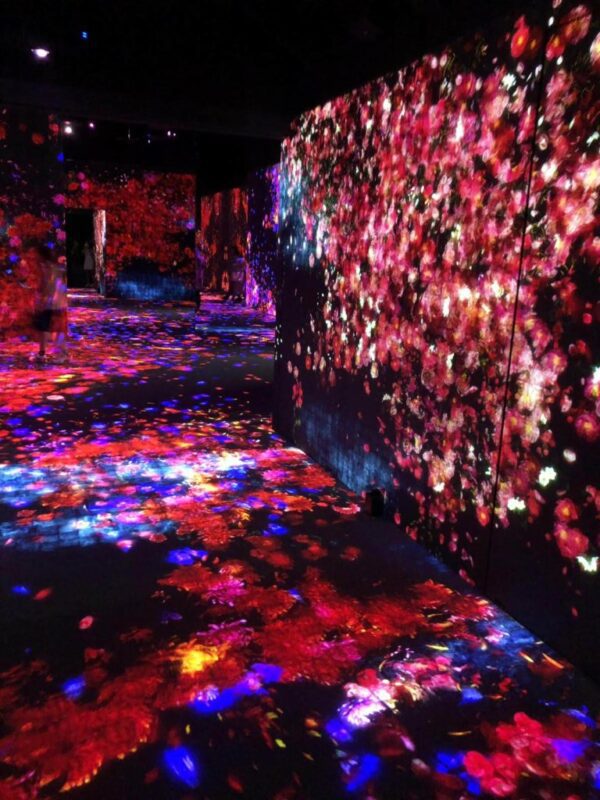 teamlab phenomena