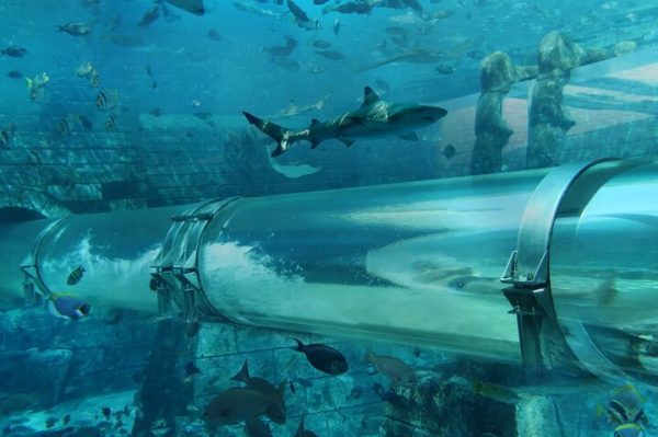 atlantis aquaventure waterpark