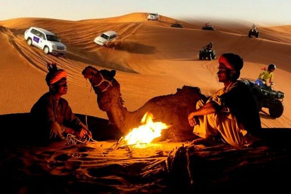standard desert safari