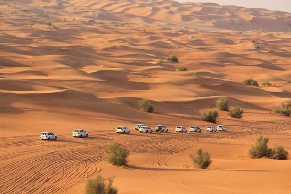 vip evening desert safari