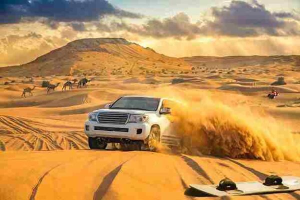 desert safari – vip majlis