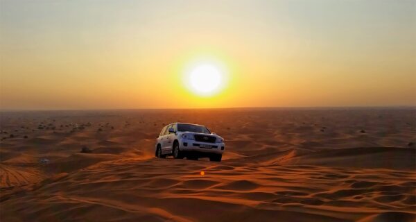morning desert safari