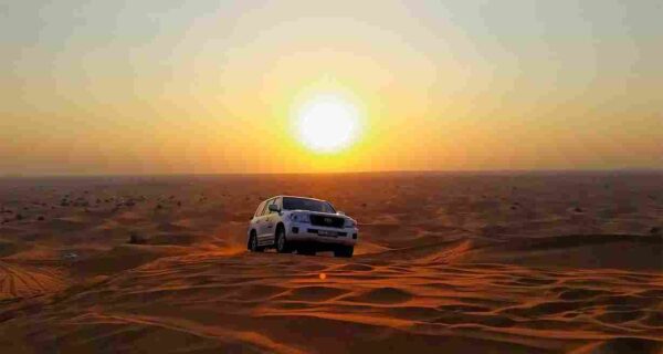 morning desert safari