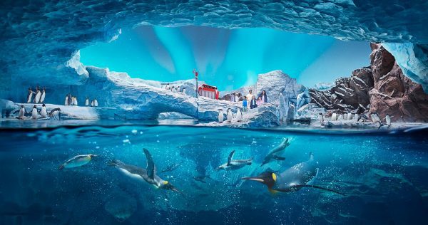 seaworld abu dhabi