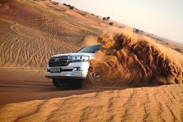 standard desert safari