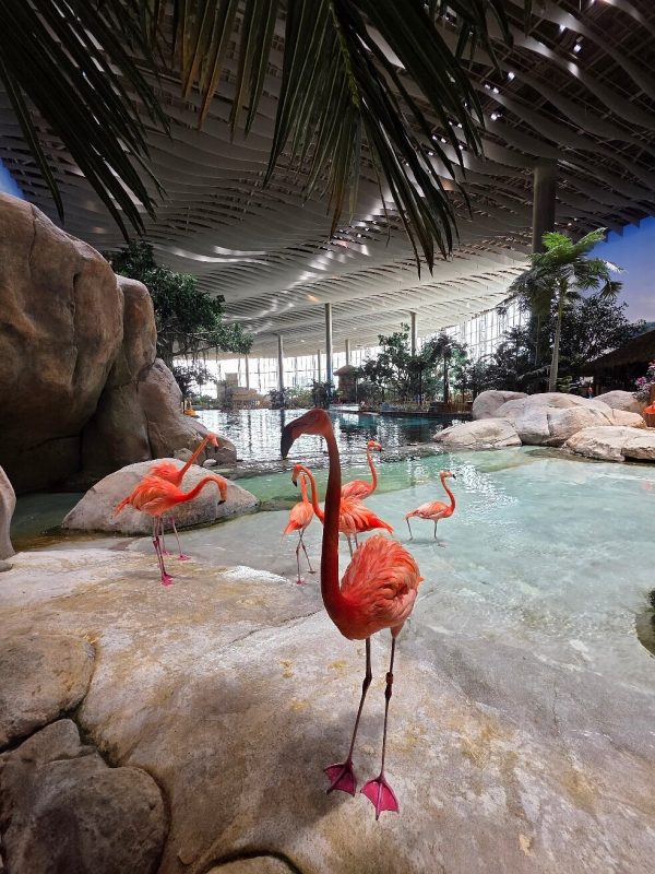seaworld abu dhabi
