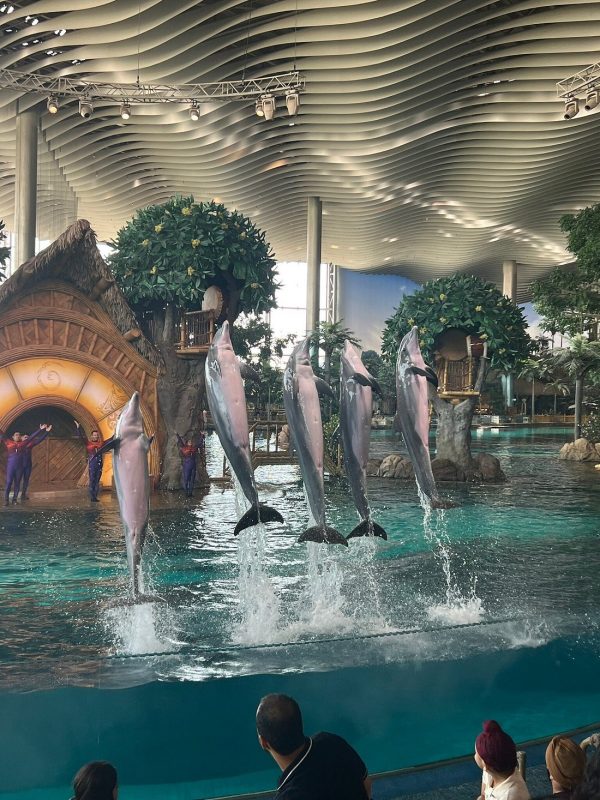 seaworld abu dhabi