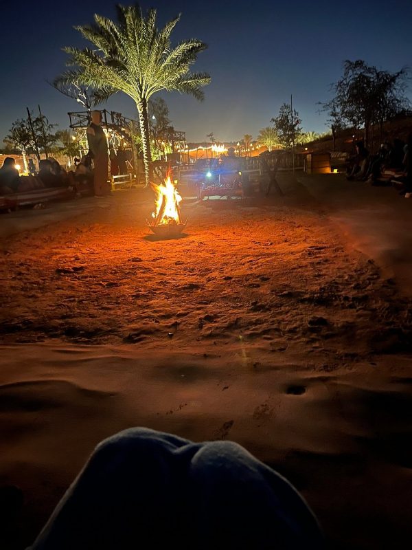 vip evening desert safari