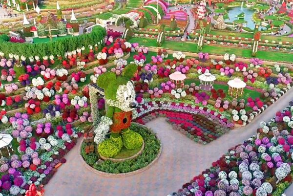 Dubai Miracle Garden - Image 8