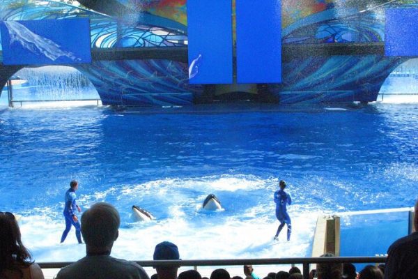 yas island theme park