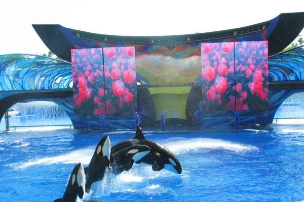 yas island theme park