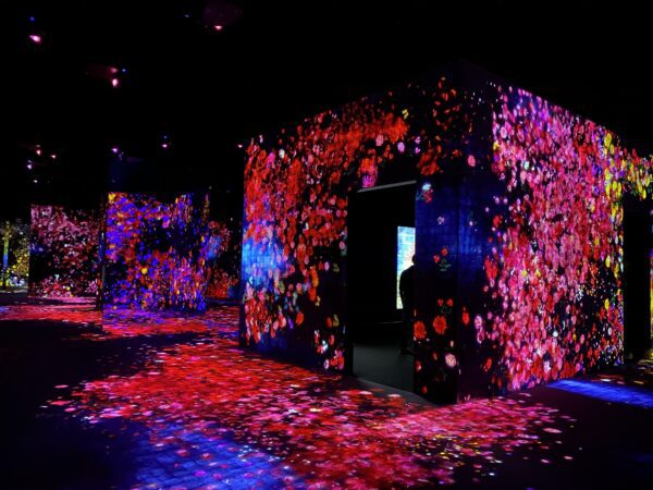 teamlab phenomena