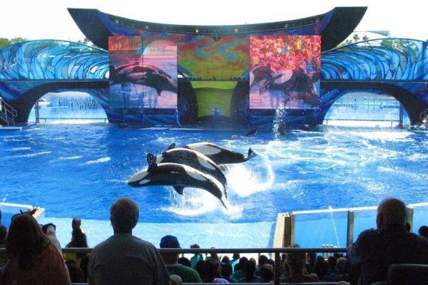 yas island theme park