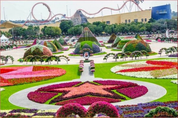 Dubai Miracle Garden - Image 10