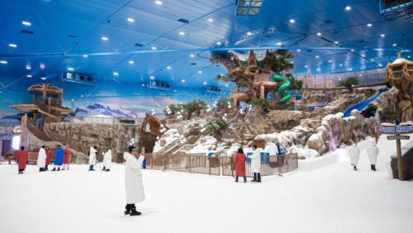 snow park – day pass