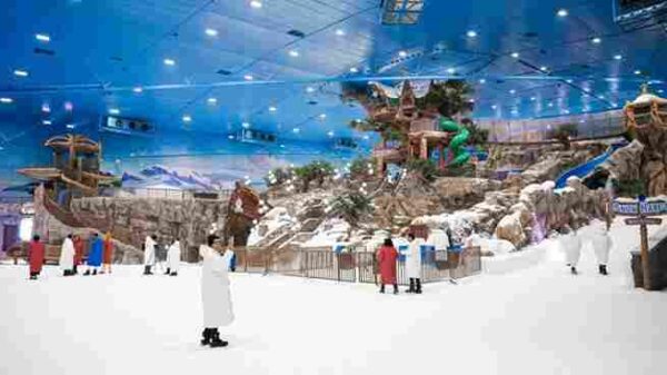 snow park abu dhabi premium