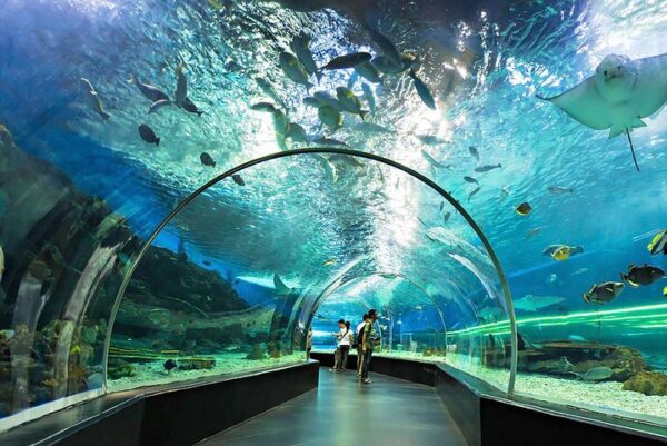 the national aquarium abu dhabi general
