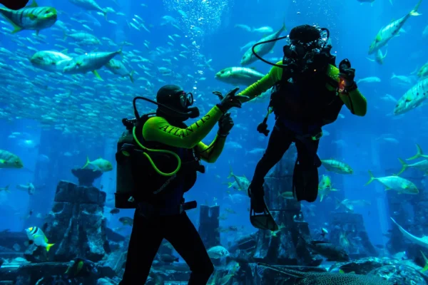 scuba diving tour