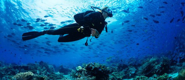 scuba diving tour