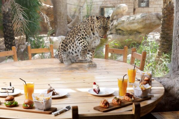 emirates park zoo