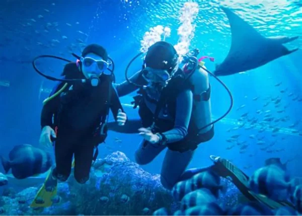 scuba diving tour