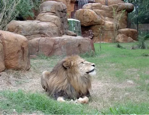 al ain zoo – general admission tickets