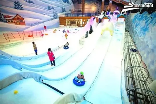snow park – day pass