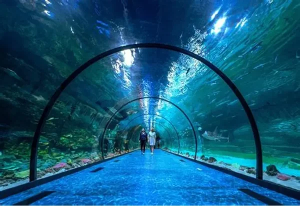 the national aquarium abu dhabi general