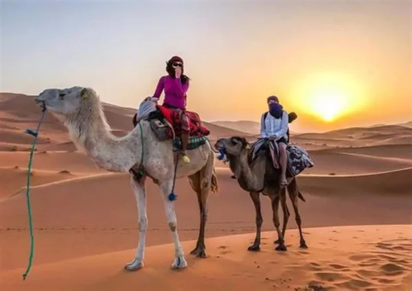 camel trekking abu dhabi – 30 minutes