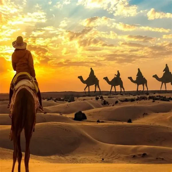 camel trekking abu dhabi – 30 minutes