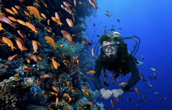 scuba diving tour
