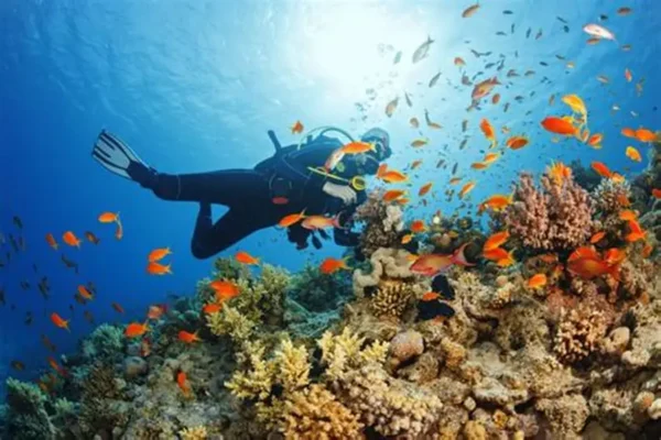 scuba diving tour