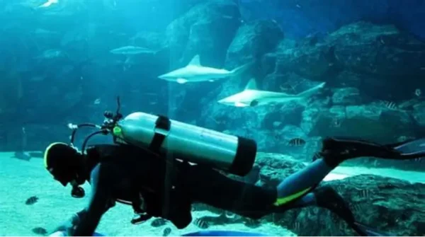 scuba diving tour
