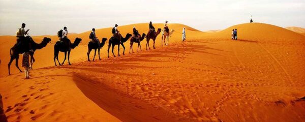 camel trekking abu dhabi – 30 minutes