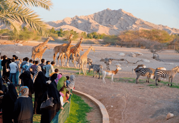 al ain zoo – general admission tickets