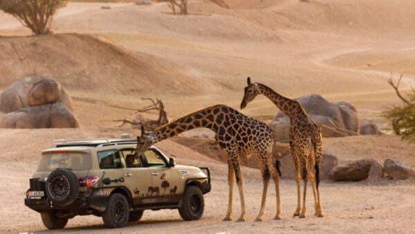 al ain zoo – general admission tickets