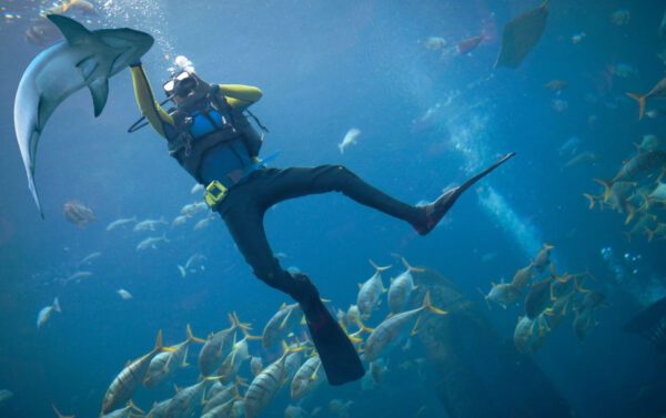 scuba diving tour