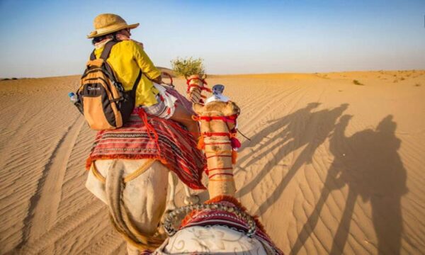 camel trekking abu dhabi – 30 minutes