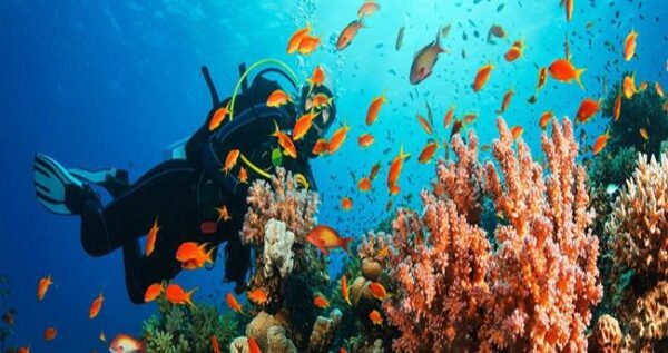 scuba diving tour