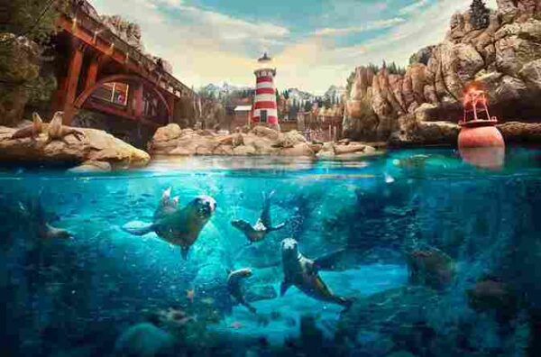 from dubai abu dhabi city tour with seaworld tickets