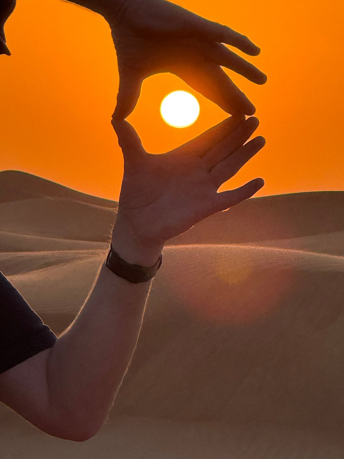 desert safari vip desert safari vip