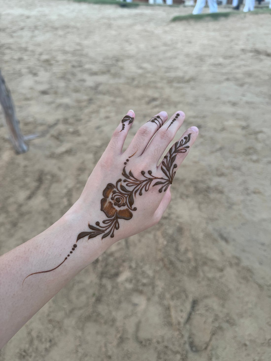 desert safari vip desert safari vip